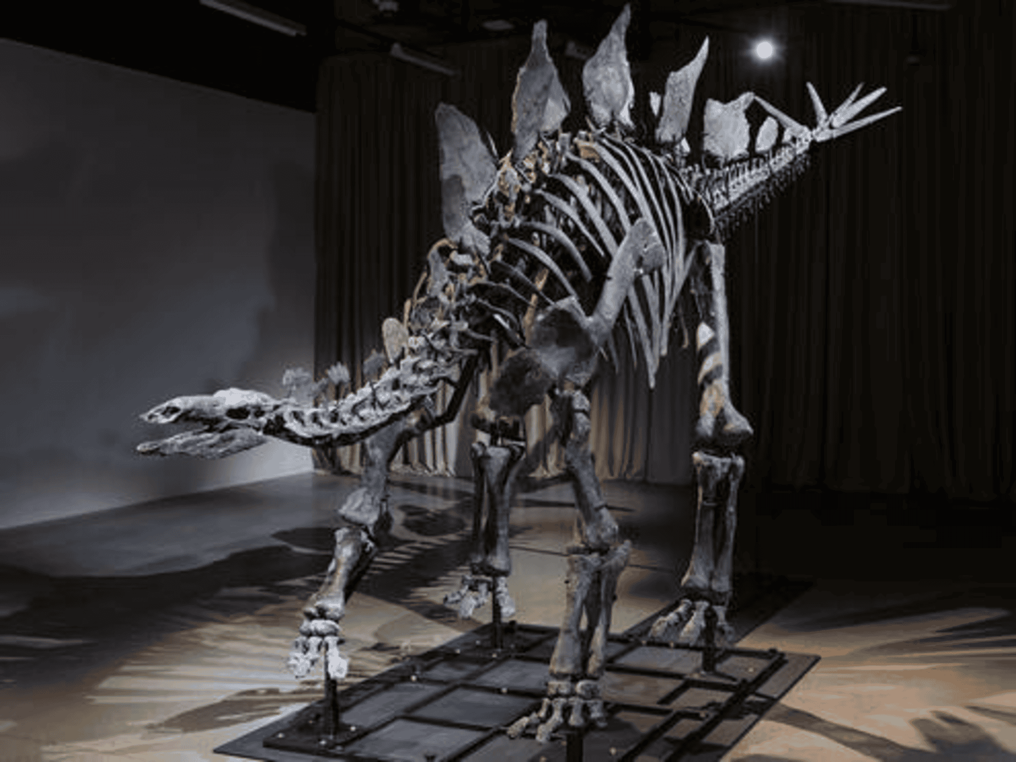 O sonho de Jurassic Park: é possível clonar dinossauros?