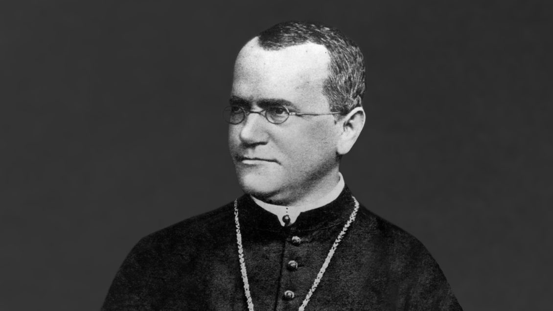 Gregor Mendel: O Monge que Decifrou os Segredos da Hereditariedade